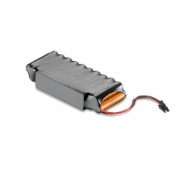 Sommer S10523-00002 Rechargeable battery AAA NiMh, 24V 700mAh H