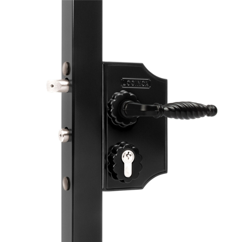 Large surface mounted ornamental gate lock