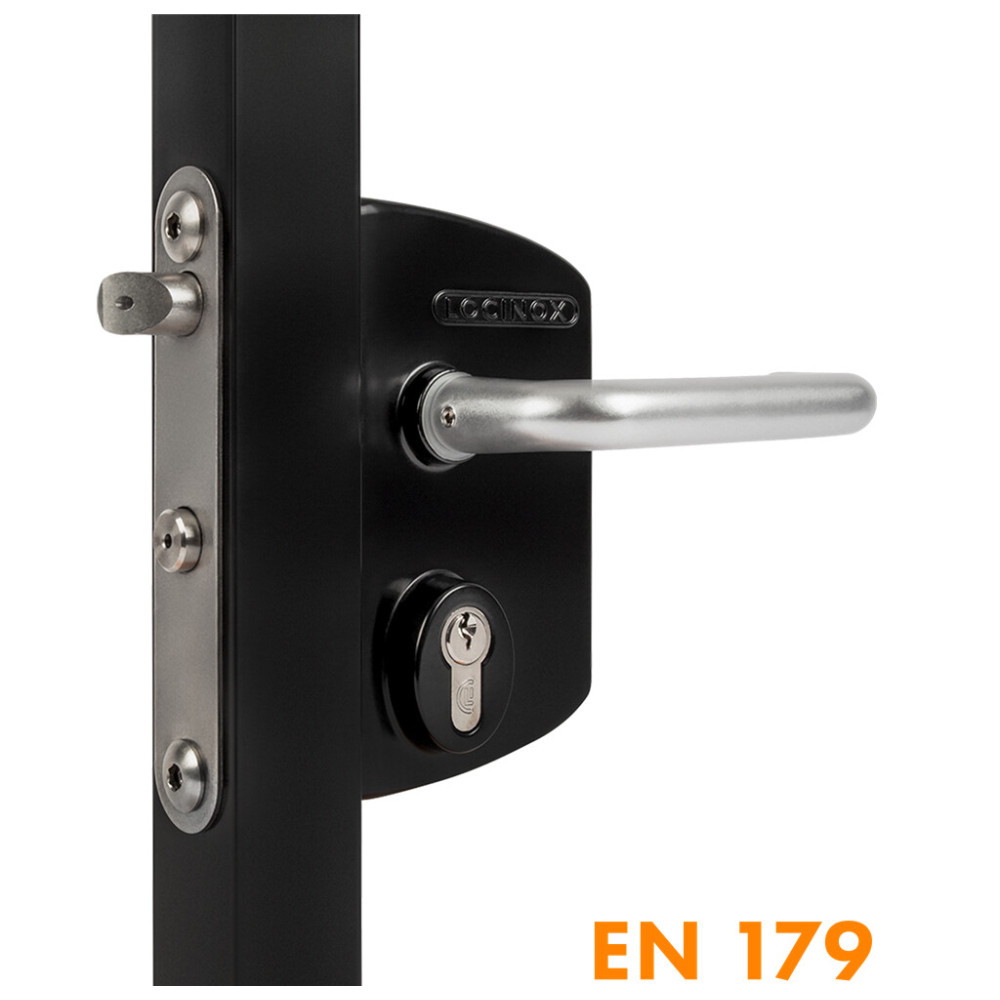 Surface mounted anti-panic gate lock