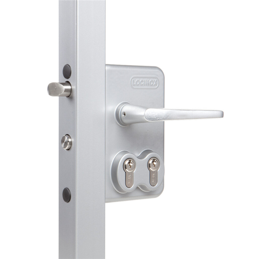 Surface mounted double cylinder gate lock for swing gates